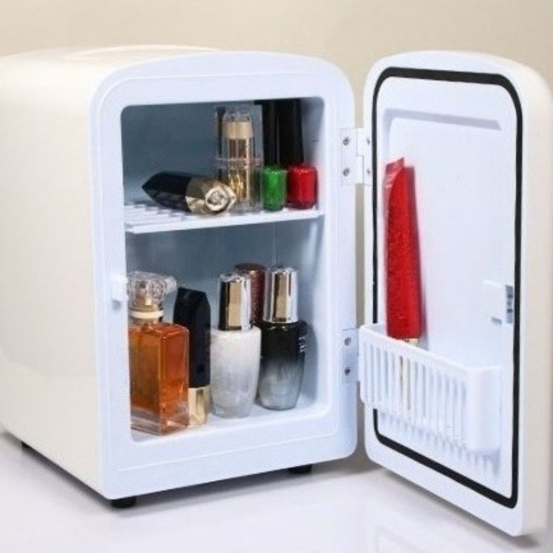 Small Makeup Storage Refrigera - Luxury Skincare Fridge 评论和价格
